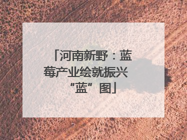 河南新野：蓝莓产业绘就振兴“蓝”图