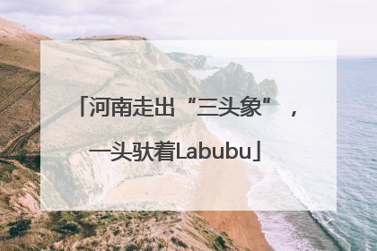 河南走出“三头象”，一头驮着Labubu