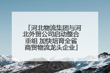 河北物流集团与河北外贸公司启动整合重组 加快培育全省商贸物流龙头企业