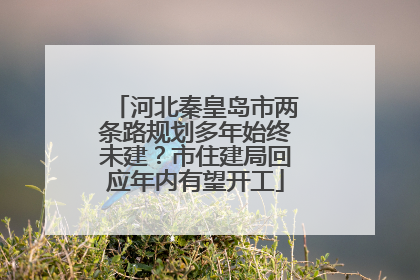 河北秦皇岛市两条路规划多年始终未建？市住建局回应年内有望开工