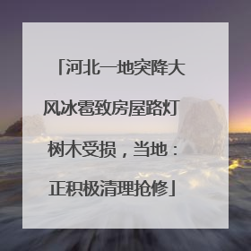 河北一地突降大风冰雹致房屋路灯树木受损，当地：正积极清理抢修