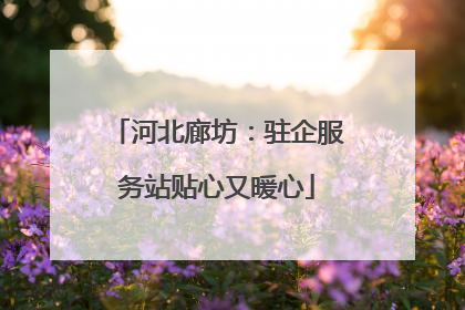 河北廊坊：驻企服务站贴心又暖心