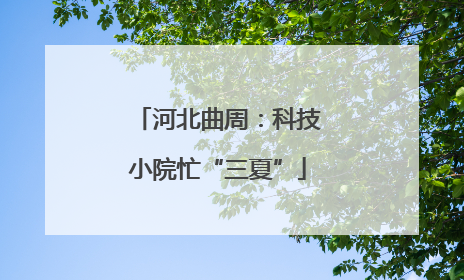 河北曲周：科技小院忙“三夏”