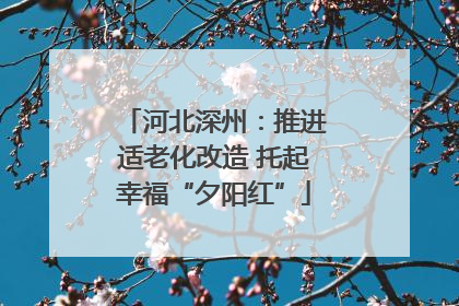 河北深州：推进适老化改造 托起幸福“夕阳红”