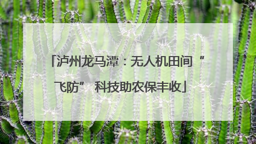 泸州龙马潭：无人机田间“飞防” 科技助农保丰收