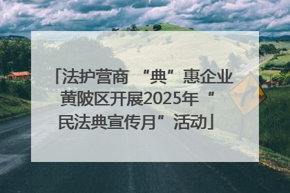 法护营商 “典”惠企业 黄陂区开展2025年“民法典宣传月”活动