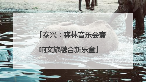 泰兴：森林音乐会奏响文旅融合新乐章