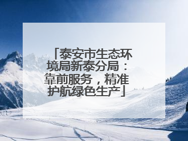 泰安市生态环境局新泰分局：靠前服务，精准护航绿色生产