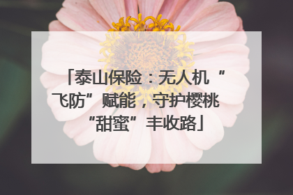 泰山保险：无人机“飞防”赋能，守护樱桃“甜蜜”丰收路