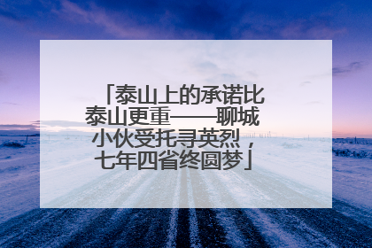 泰山上的承诺比泰山更重——聊城小伙受托寻英烈，七年四省终圆梦