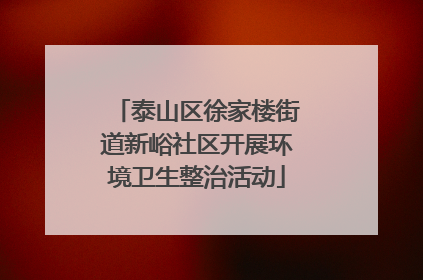 泰山区徐家楼街道新峪社区开展环境卫生整治活动