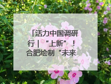 活力中国调研行｜“上新”！合肥绘制“未来产业图谱”