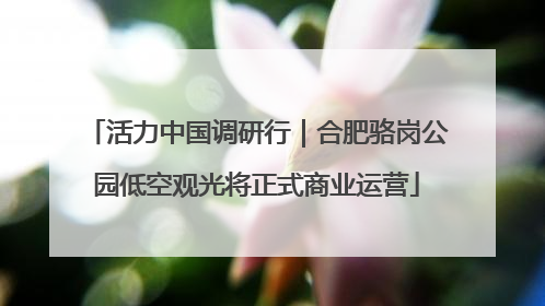 活力中国调研行｜合肥骆岗公园低空观光将正式商业运营