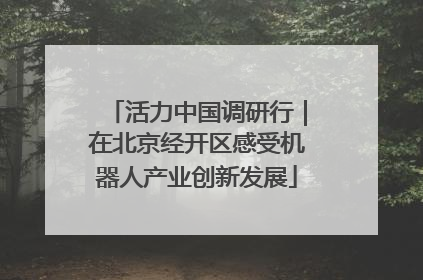 活力中国调研行｜在北京经开区感受机器人产业创新发展