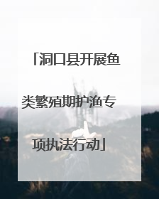 洞口县开展鱼类繁殖期护渔专项执法行动