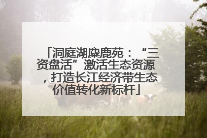 洞庭湖麋鹿苑：“三资盘活”激活生态资源，打造长江经济带生态价值转化新标杆