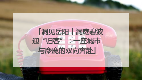 洞见岳阳丨洞庭碧波迎“归客”：一座城市与麋鹿的双向奔赴