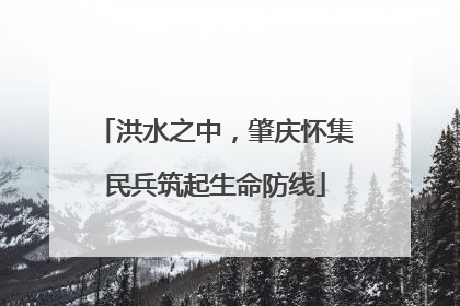 洪水之中，肇庆怀集民兵筑起生命防线
