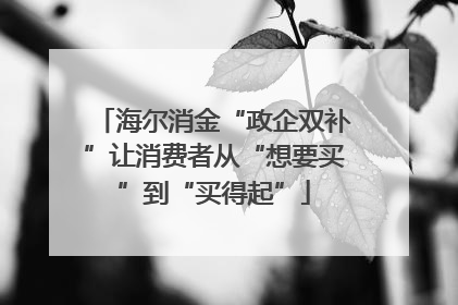 海尔消金“政企双补”让消费者从“想要买”到“买得起”