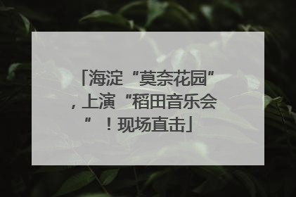 海淀“莫奈花园”，上演“稻田音乐会”！现场直击