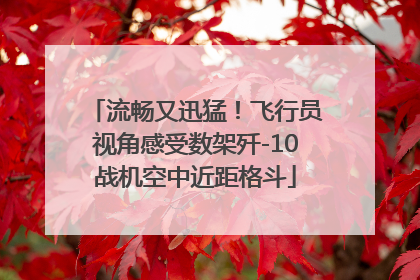 流畅又迅猛！飞行员视角感受数架歼-10战机空中近距格斗