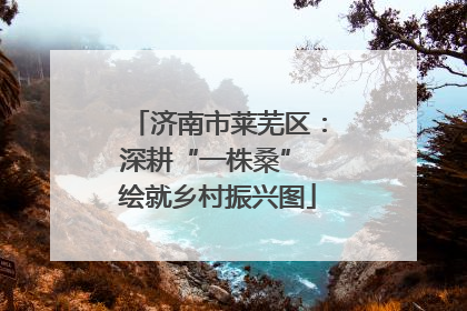 济南市莱芜区：深耕“一株桑” 绘就乡村振兴图