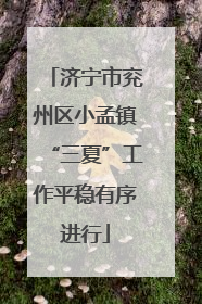 济宁市兖州区小孟镇“三夏”工作平稳有序进行
