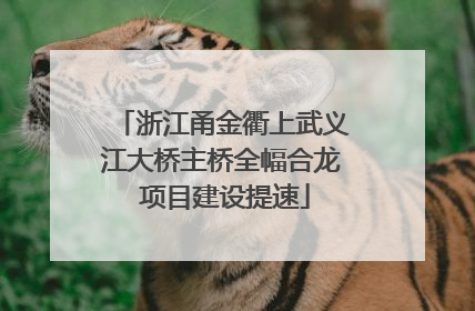 浙江甬金衢上武义江大桥主桥全幅合龙 项目建设提速