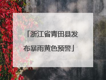 浙江省青田县发布暴雨黄色预警