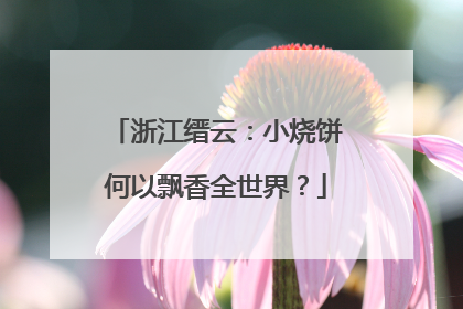 浙江缙云：小烧饼何以飘香全世界？