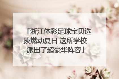 浙江体彩足球宝贝选拔燃动夏日 这所学校派出了超豪华阵容