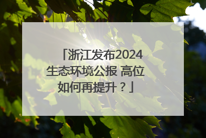 浙江发布2024生态环境公报 高位如何再提升？