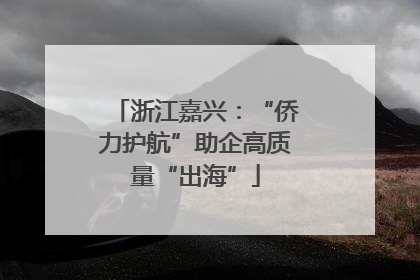 浙江嘉兴：“侨力护航”助企高质量“出海”
