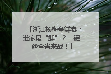 浙江杨梅争鲜赛：谁家最“鲜”？一键@全省来战！