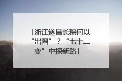 浙江遂昌长粽何以“出圈”？“七十二变”中探新路