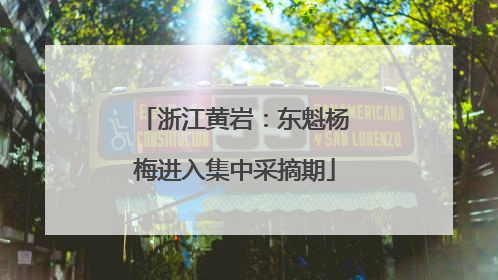 浙江黄岩：东魁杨梅进入集中采摘期