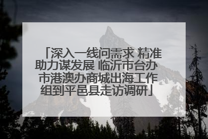 深入一线问需求 精准助力谋发展 临沂市台办 市港澳办商城出海工作组到平邑县走访调研