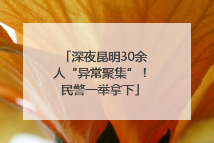 深夜昆明30余人“异常聚集”！民警一举拿下