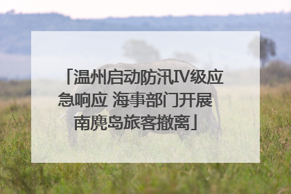 温州启动防汛Ⅳ级应急响应 海事部门开展南麂岛旅客撤离