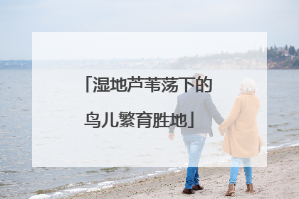 湿地芦苇荡下的鸟儿繁育胜地