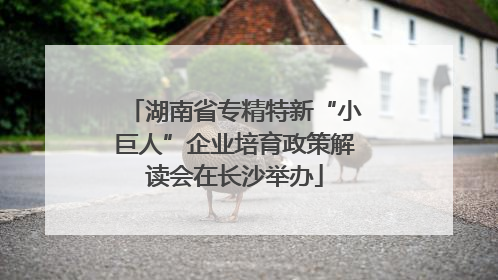 湖南省专精特新“小巨人”企业培育政策解读会在长沙举办