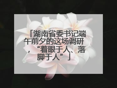 湖南省委书记端午前夕的这场调研，“着眼于人、落脚于人”
