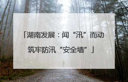 湖南发展：闻“汛”而动 筑牢防汛“安全墙”