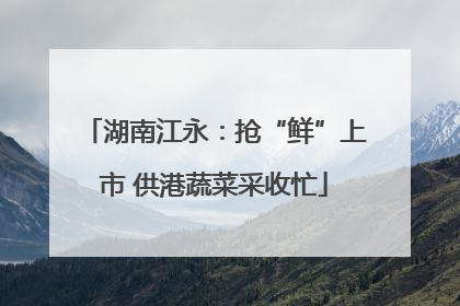 湖南江永：抢“鲜”上市 供港蔬菜采收忙
