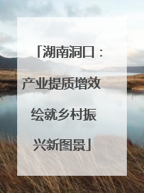 湖南洞口：产业提质增效 绘就乡村振兴新图景