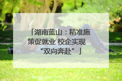湖南蓝山：精准施策促就业 校企实现“双向奔赴”