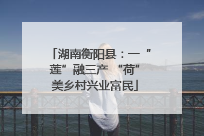 湖南衡阳县：一“莲”融三产 “荷”美乡村兴业富民