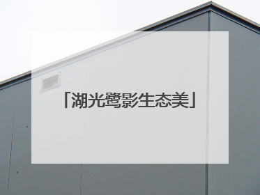 湖光鹭影生态美