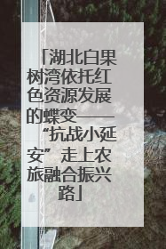 湖北白果树湾依托红色资源发展的蝶变——“抗战小延安”走上农旅融合振兴路