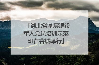 湖北省基层退役军人党员培训示范班在谷城举行